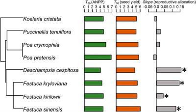 Effects of Population Age on the Annual Net Primary Productivity and Seed Yield of Artificial Grasslands on the Eastern Qinghai-Tibetan Plateau